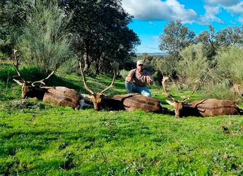 Resultado Montería El Guijo 2024 Rincón Cinegético